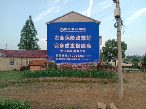 兴山墙体广告为何受追捧？